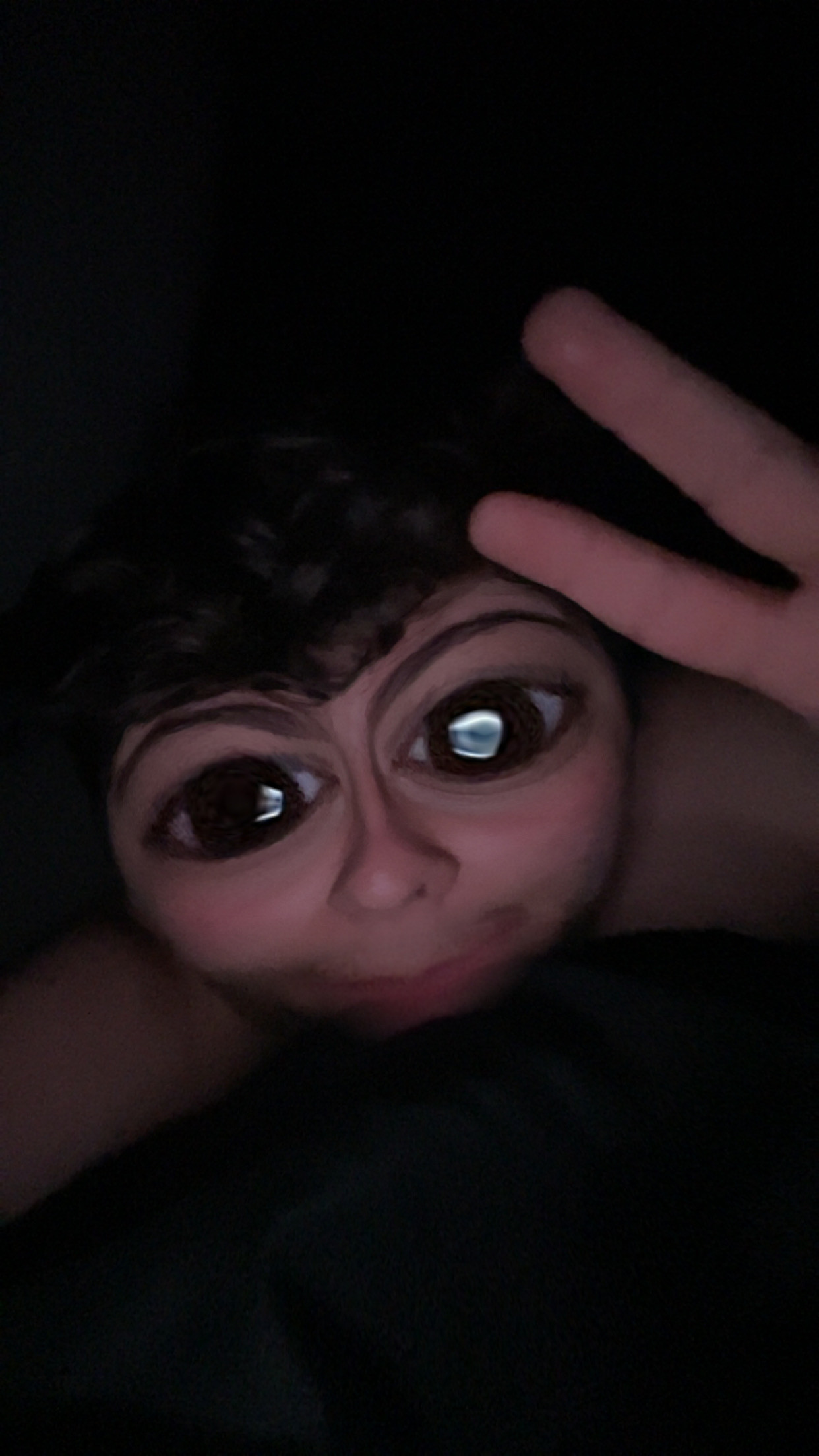 Photo de IS-LIV