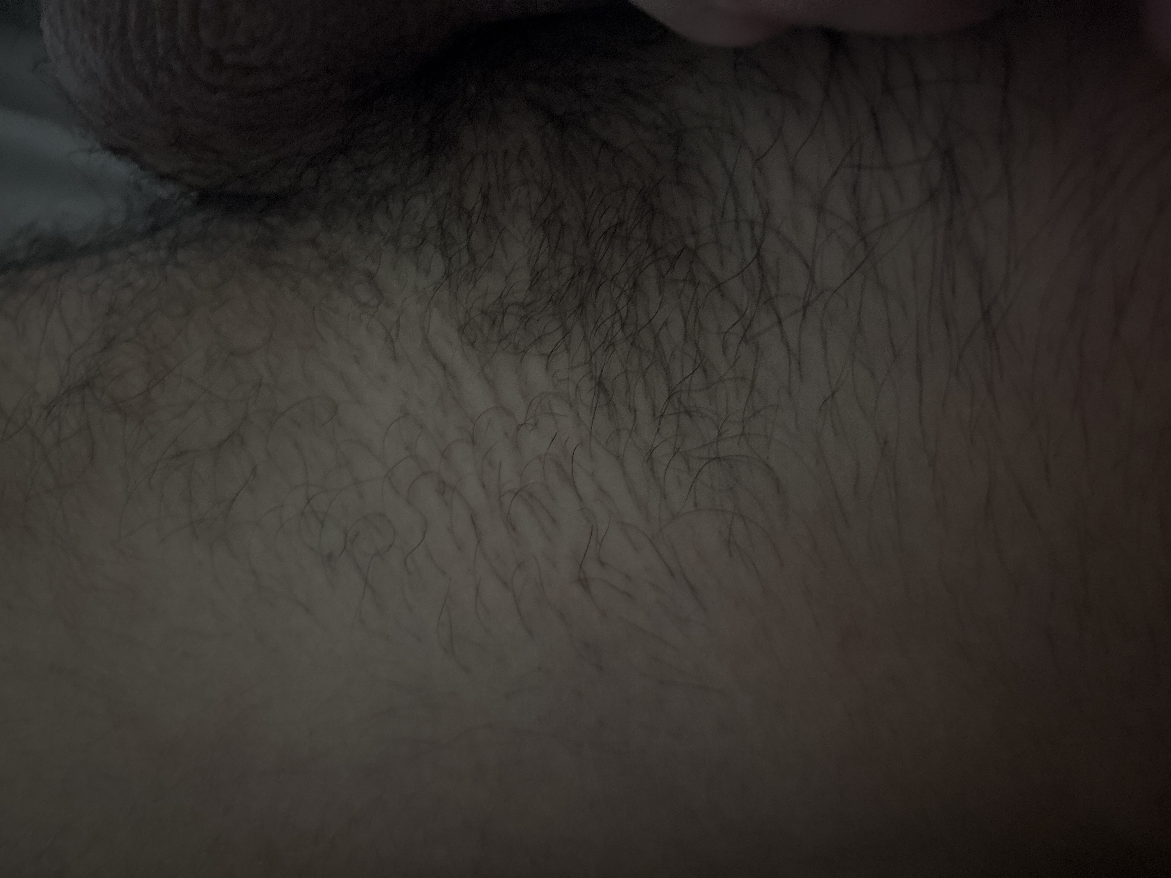 Photo de aaa