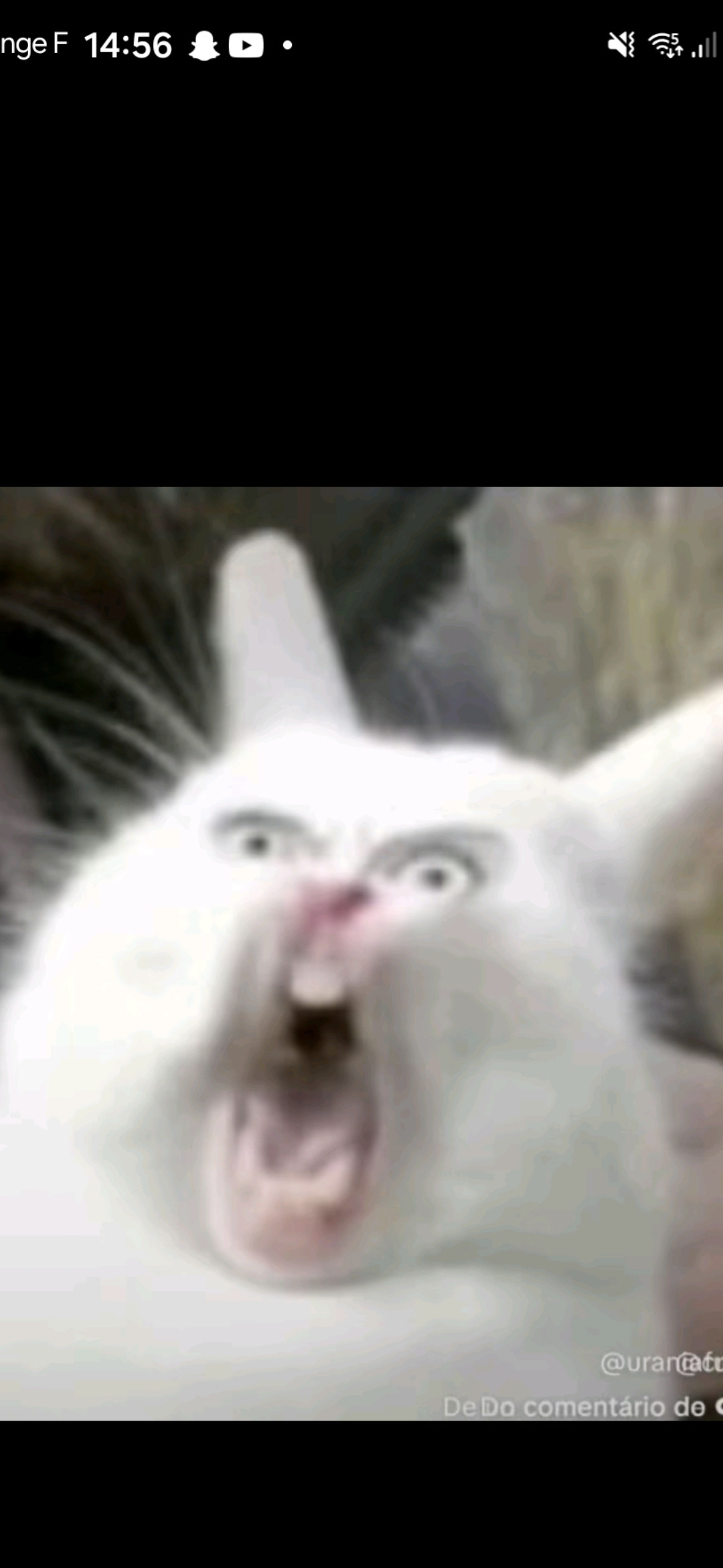 Photo de mmmmmmhmiam