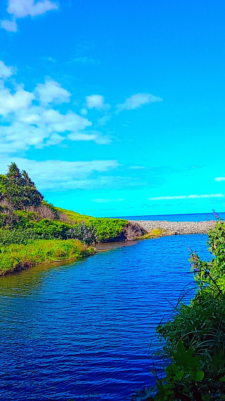 Photo de Gayeirjflfh63836