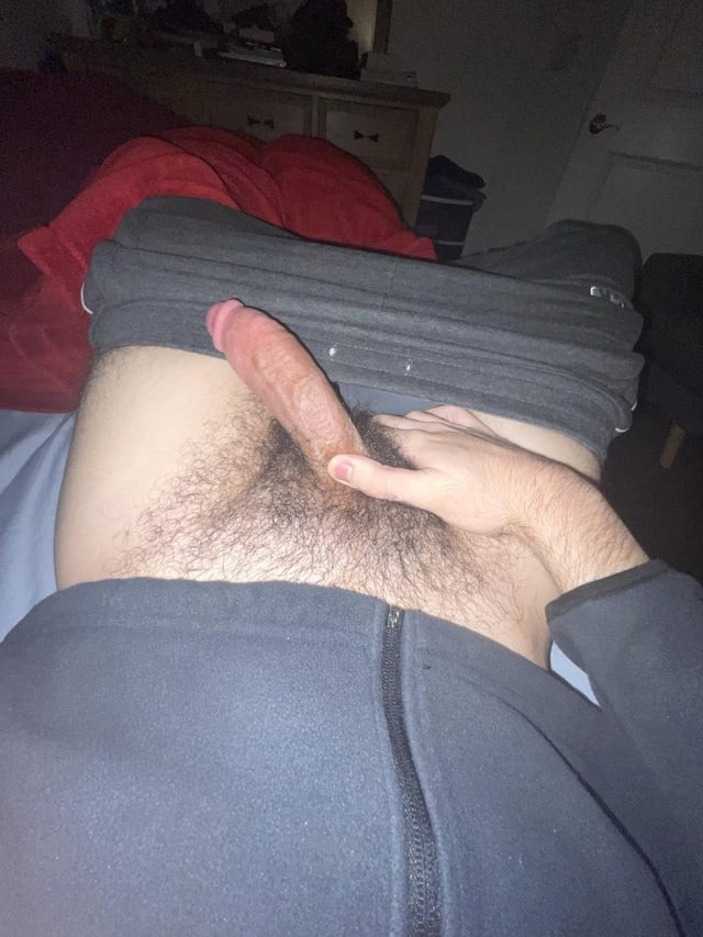 Photo de yns20261903